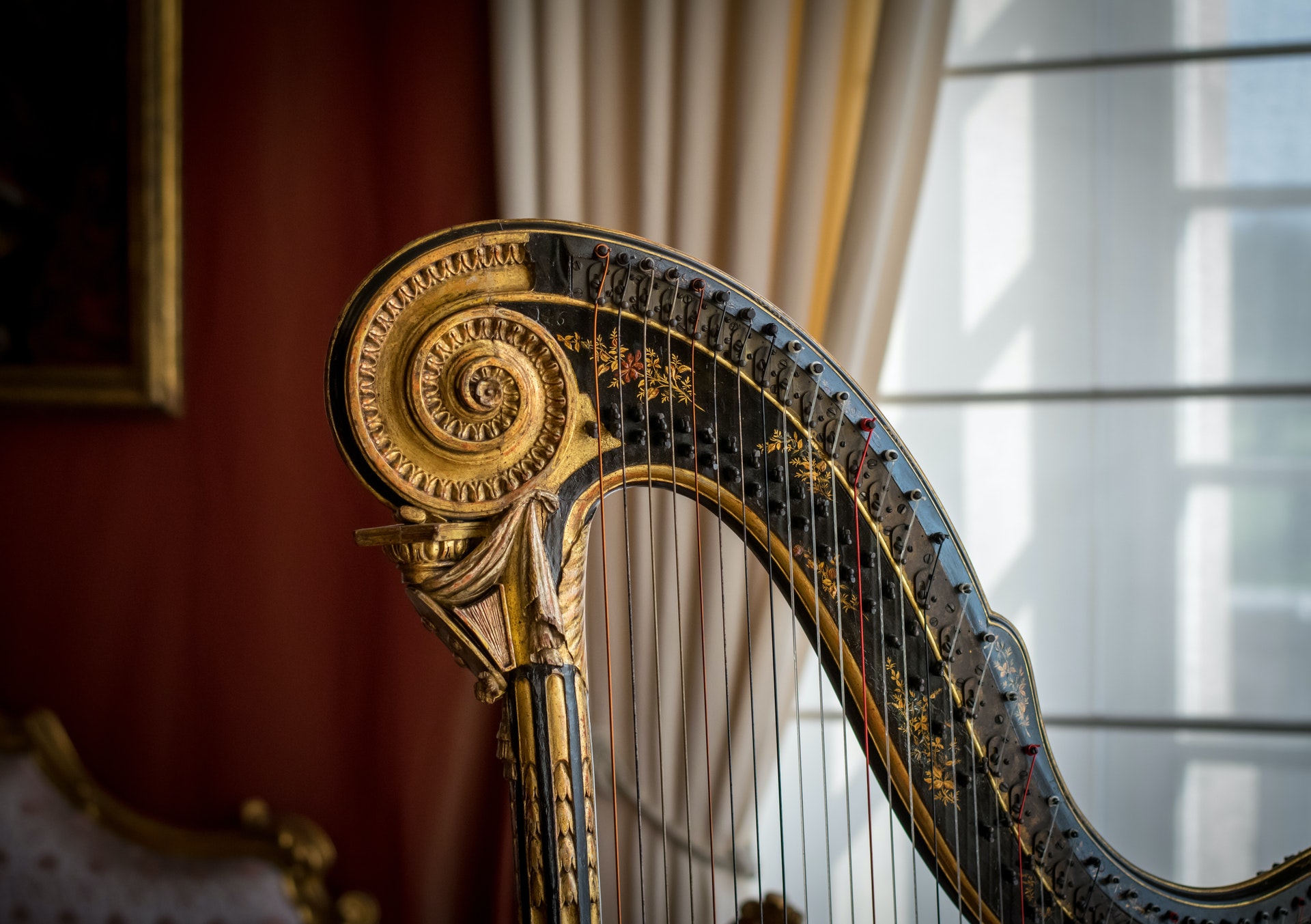 Accademia Musicale di Ancona